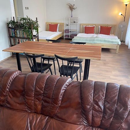 Apartment S Terasou Lysa Lysa nad Labem Bagian luar foto