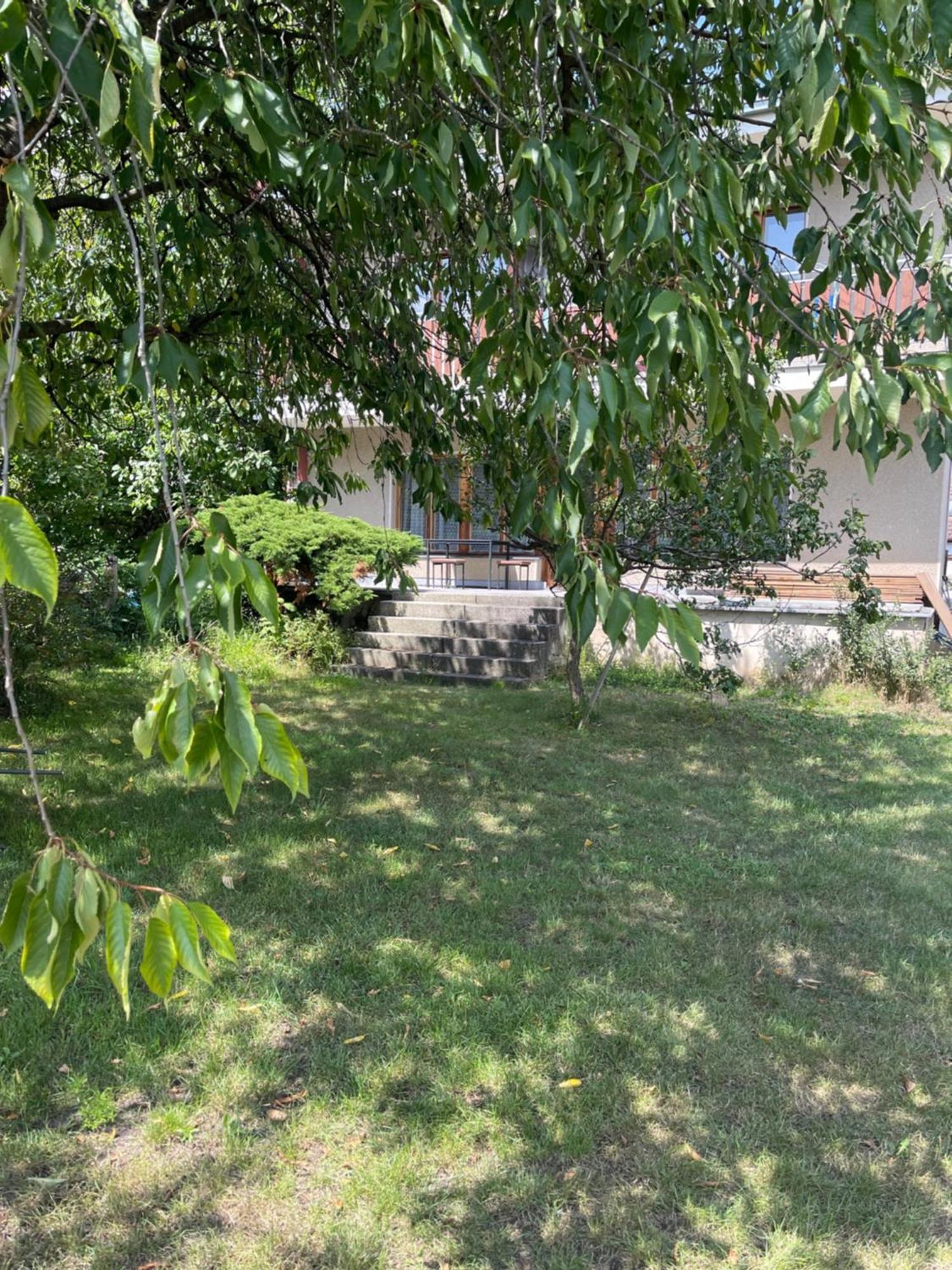Apartment S Terasou Lysa Lysa nad Labem Bagian luar foto
