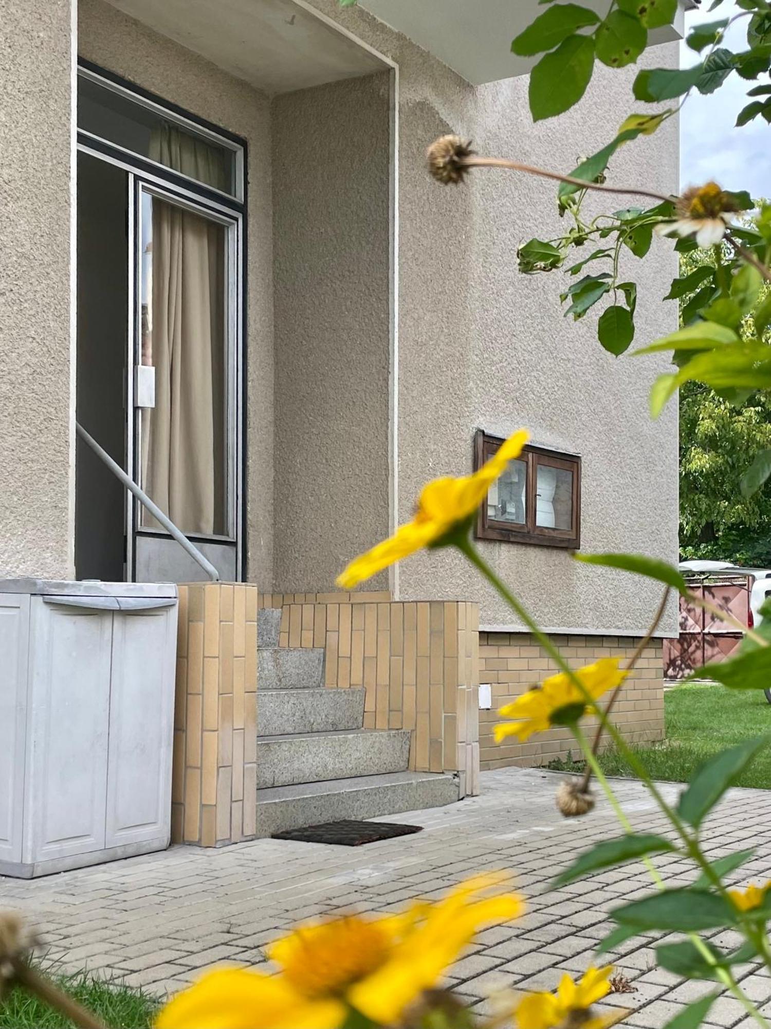 Apartment S Terasou Lysa Lysa nad Labem Bagian luar foto
