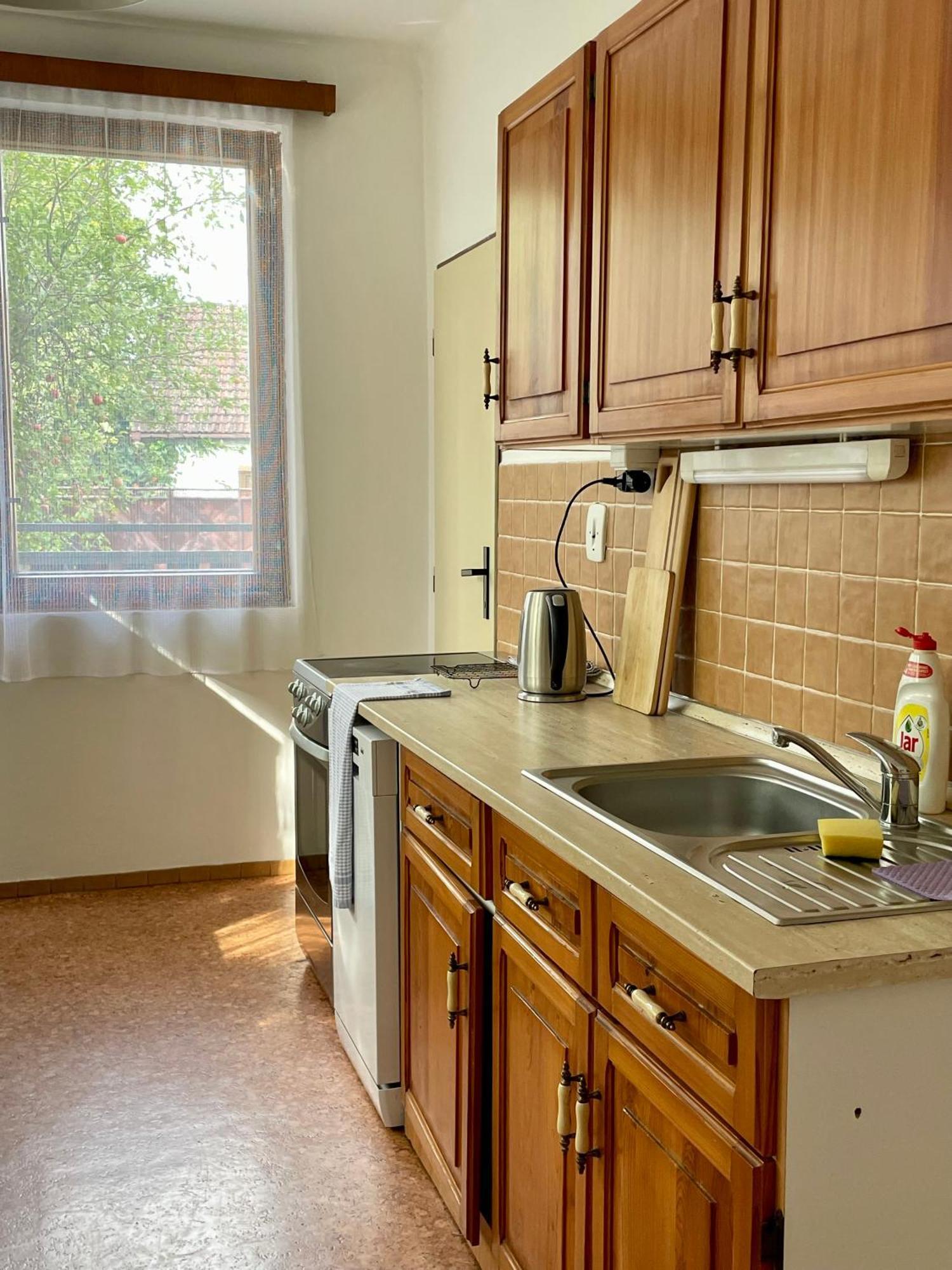 Apartment S Terasou Lysa Lysa nad Labem Bagian luar foto